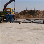 IPS Company