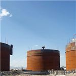 IPS Company